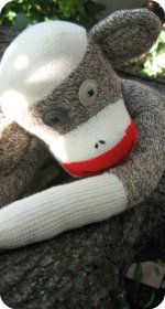 red heel sock monkey